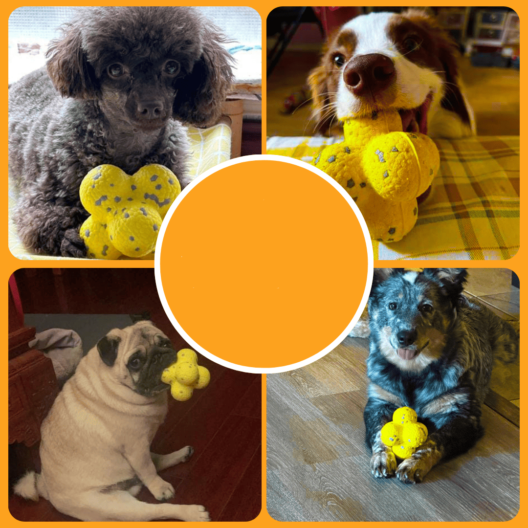 Interactive Dog Toy Ball – Fun Bouncing Play Toy