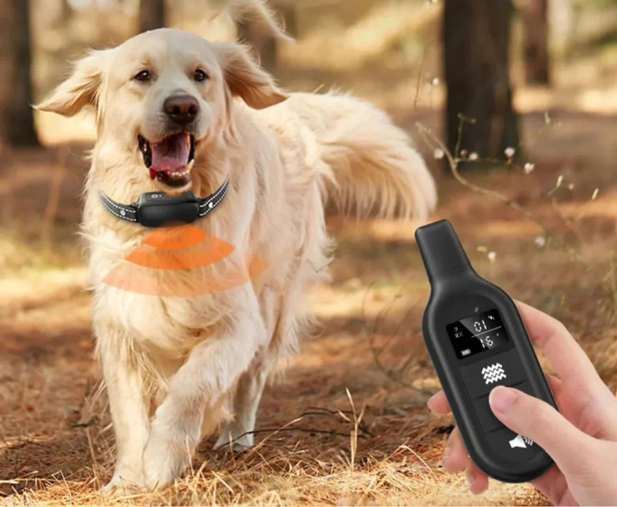 Electric Dog Training Collar with Remote Control
