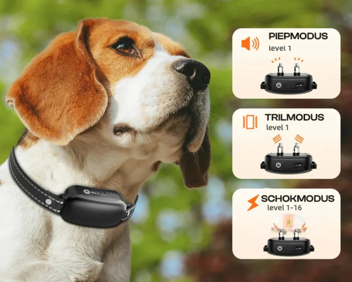 Electric Dog Training Collar with Remote Control