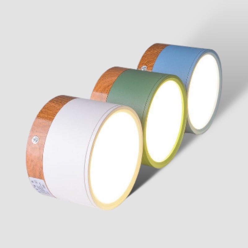 Modern Ceiling Light | Minimalist LED Downlight for Living Room