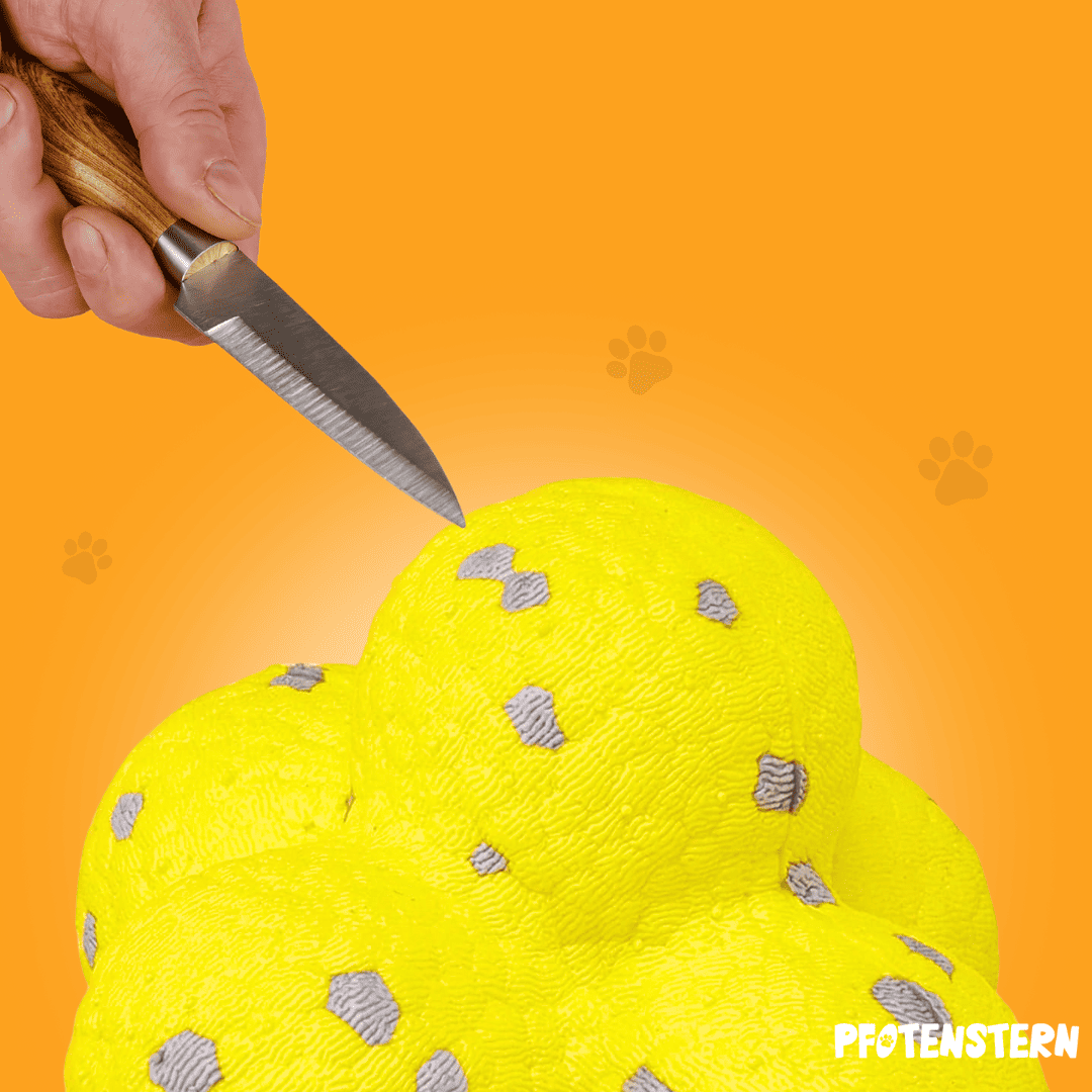 Interactive Dog Toy Ball – Fun Bouncing Play Toy