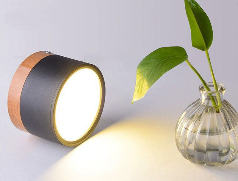 Modern Ceiling Light | Minimalist LED Downlight for Living Room