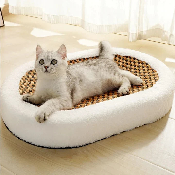 Luxyecs | Cat Scratching Haven