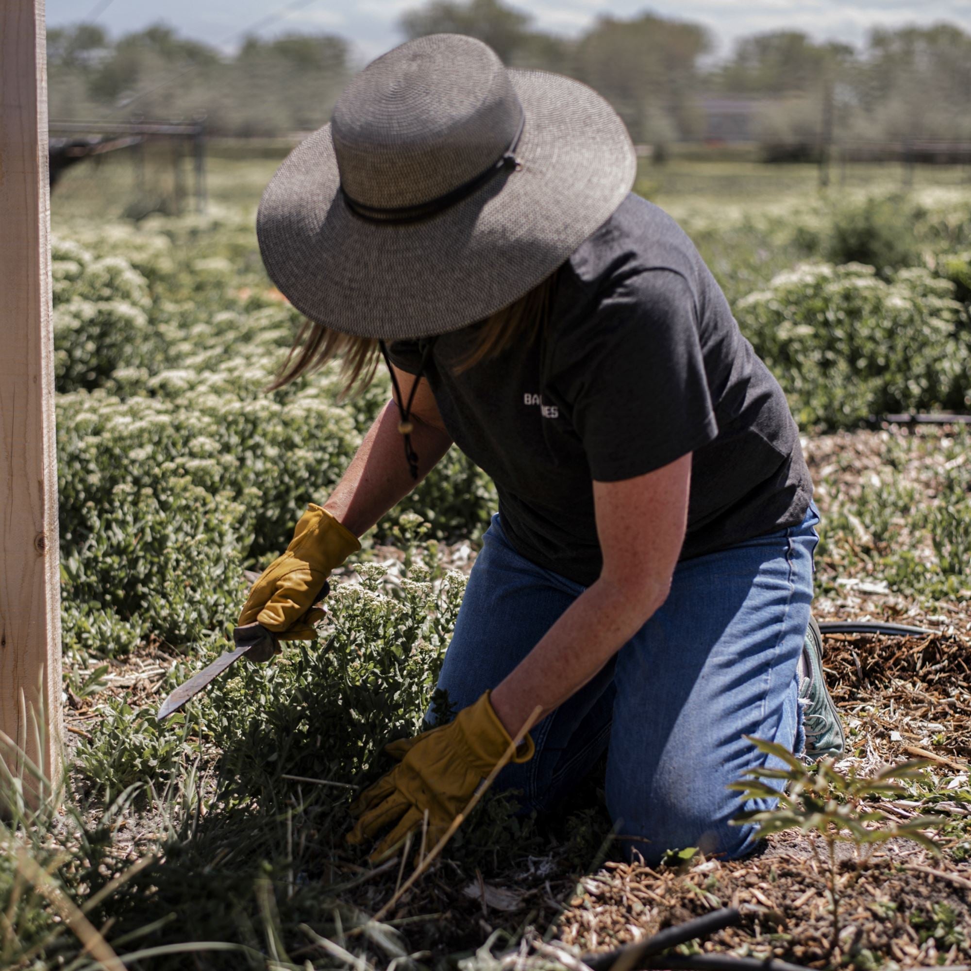 Survival Utility Knife | Premium