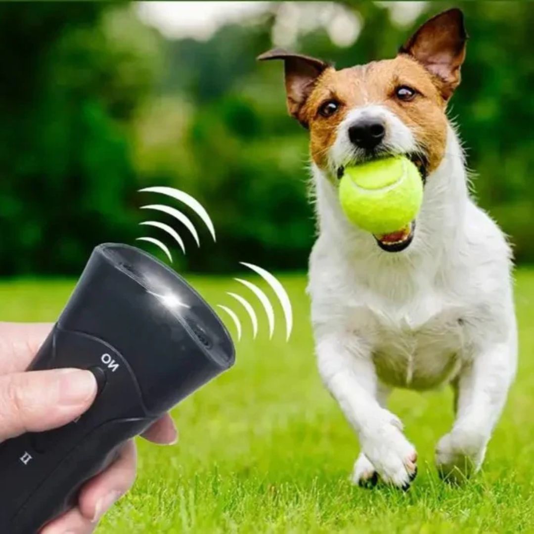 Dog Bark Control Device | Ultrasonic Training Tool