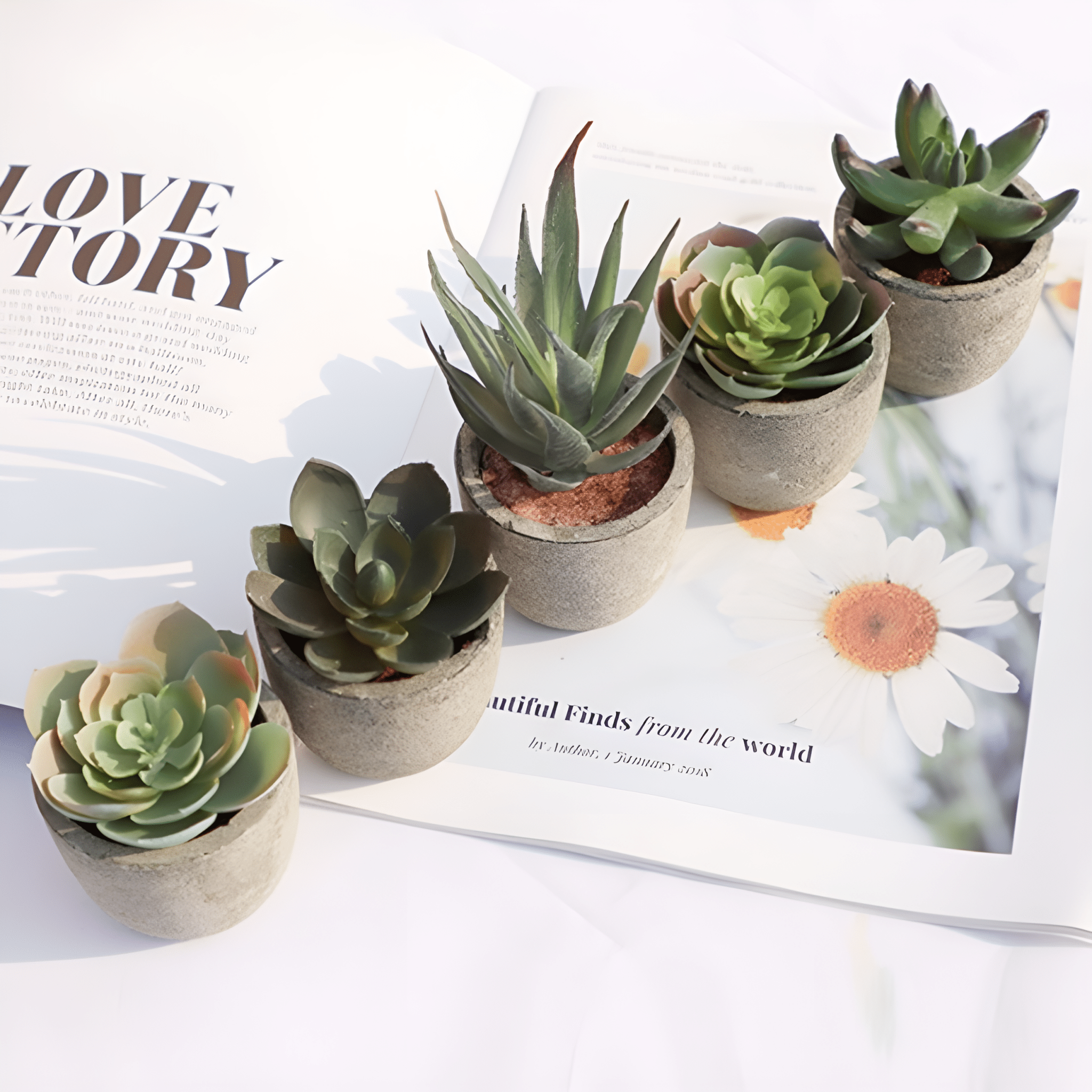 Artificial Plant | Elegant Artificial Succulents for a Refreshing Display - Luxyecs