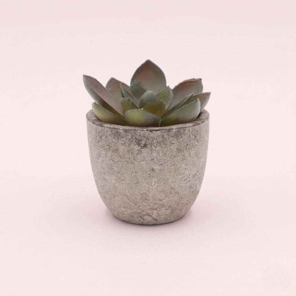 Artificial Plant | Elegant Artificial Succulents for a Refreshing Display - Luxyecs