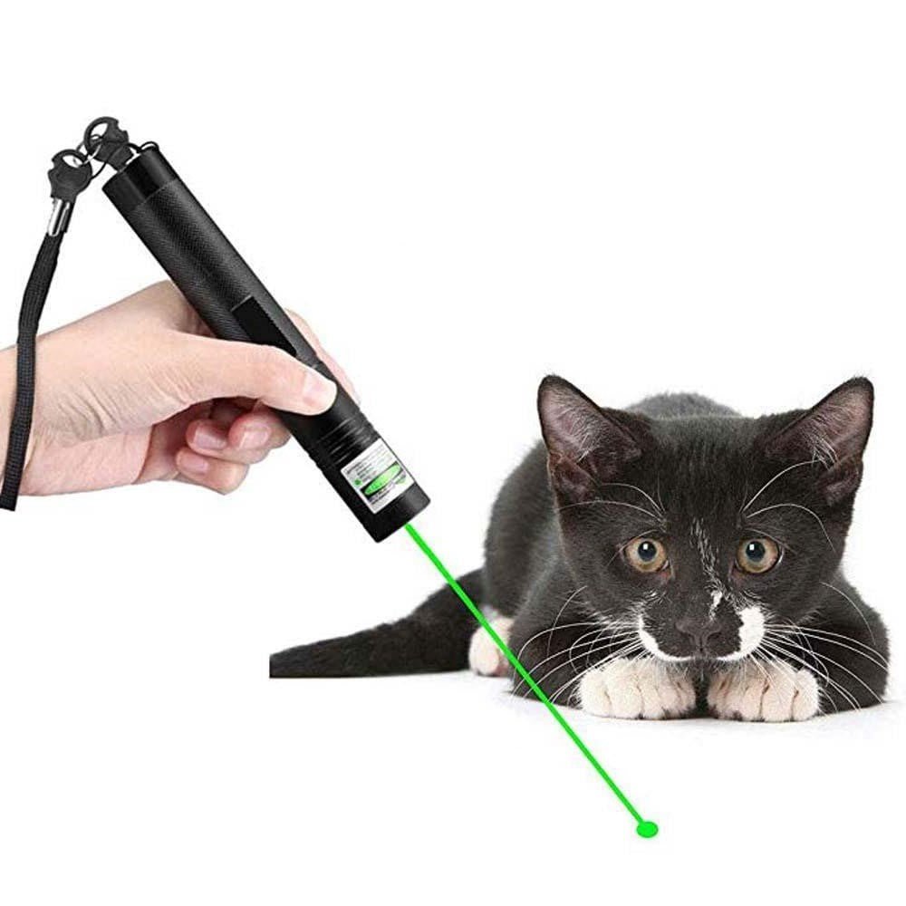 Laser Pointer Pen | Long Range Light Tool - Luxyecs