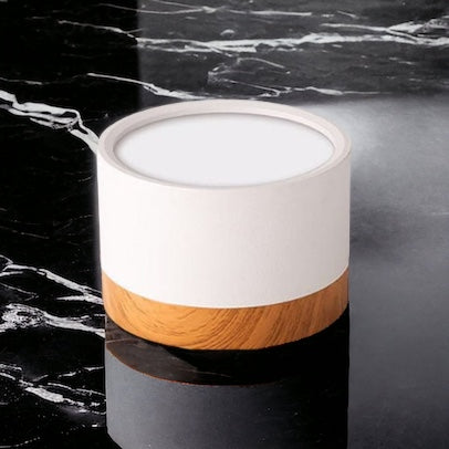 Modern Ceiling Light | Minimalist LED Downlight for Living Room