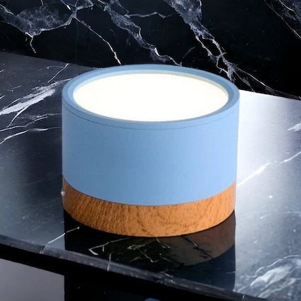 Modern Ceiling Light | Minimalist LED Downlight for Living Room