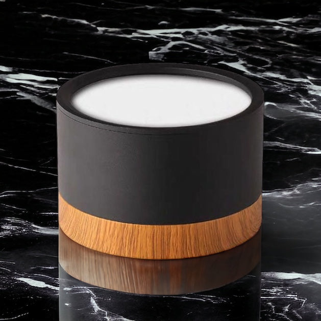 Modern Ceiling Light | Minimalist LED Downlight for Living Room