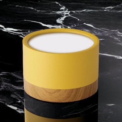 Modern Ceiling Light | Minimalist LED Downlight for Living Room