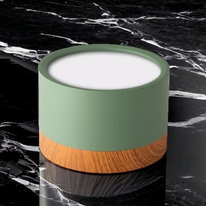 Modern Ceiling Light | Minimalist LED Downlight for Living Room