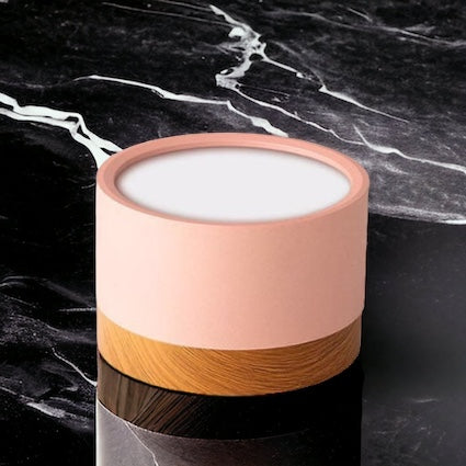 Modern Ceiling Light | Minimalist LED Downlight for Living Room