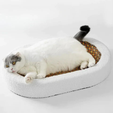 Luxyecs | Cat Scratching Haven