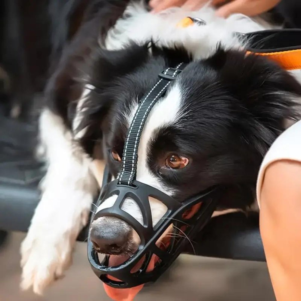 Breathable Dog Muzzle | Prevents Biting and Chewing