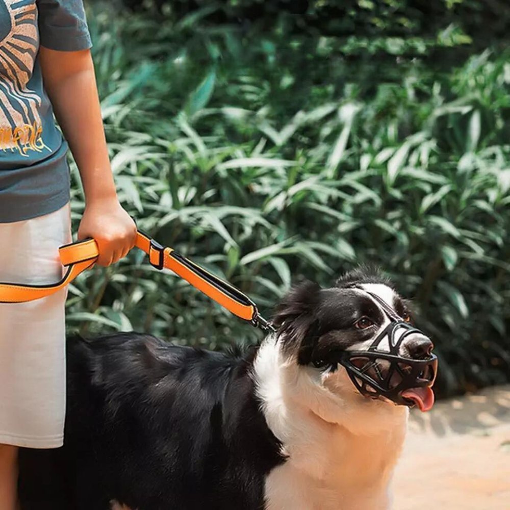 Breathable Dog Muzzle | Prevents Biting and Chewing