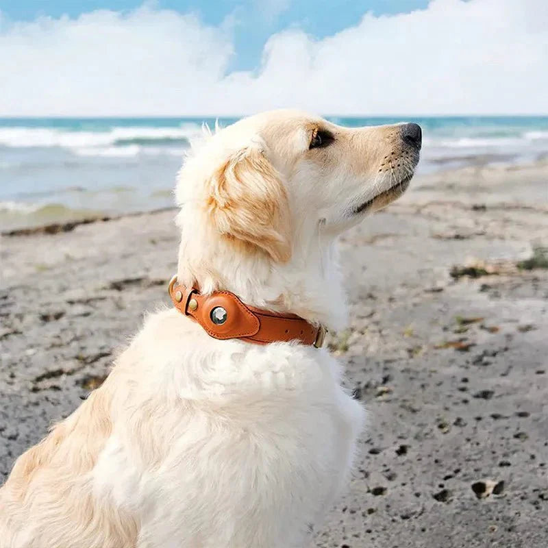 Smart AirTag Collar for Dogs | Reliable Tracking Made Easy