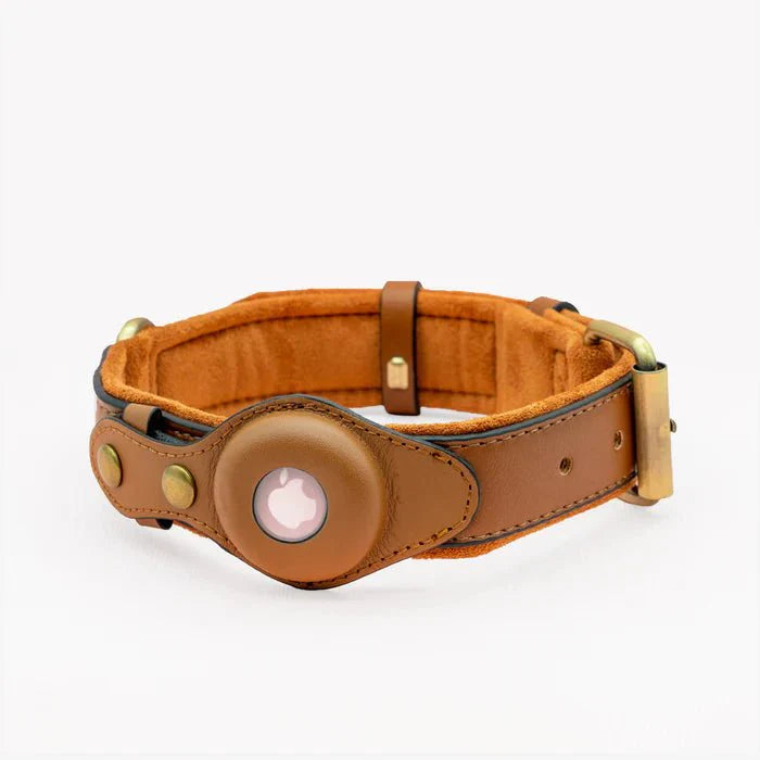 Smart AirTag Collar for Dogs | Reliable Tracking Made Easy
