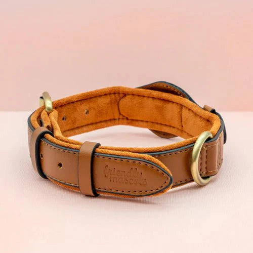 Smart AirTag Collar for Dogs | Reliable Tracking Made Easy