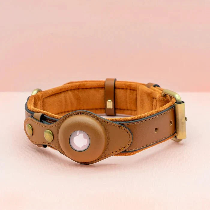 Smart AirTag Collar for Dogs | Reliable Tracking Made Easy