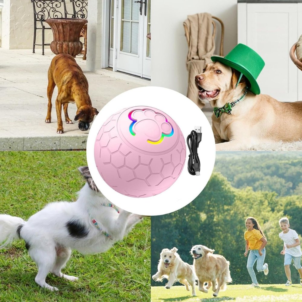Rechargeable Dog Toy Ball | Motion-Activated Fun for Pets