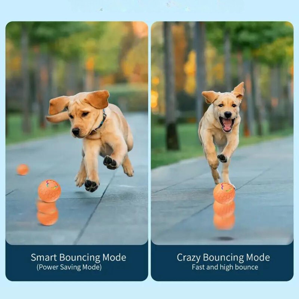 Rechargeable Dog Toy Ball | Motion-Activated Fun for Pets