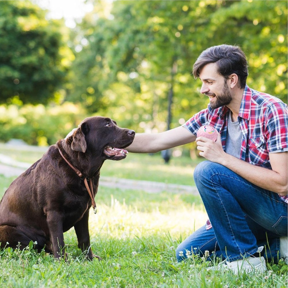Rechargeable Dog Toy Ball | Motion-Activated Fun for Pets