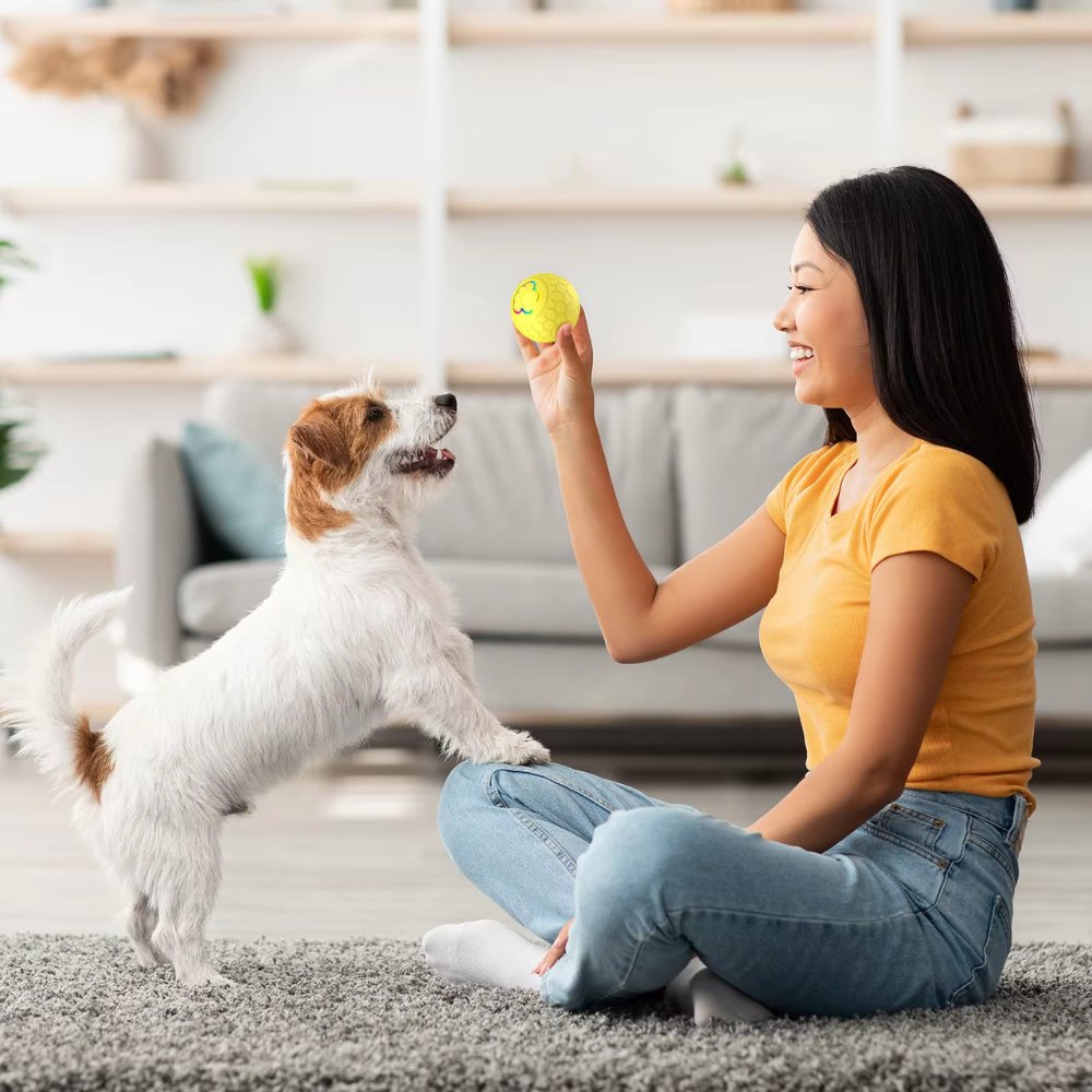 Rechargeable Dog Toy Ball | Motion-Activated Fun for Pets