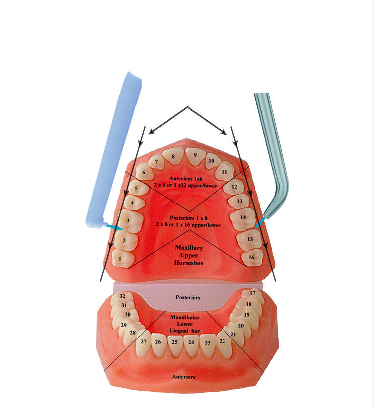 Nozzle Irrigator | Faucet Teeth Cleaner for Effective Oral Hygiene