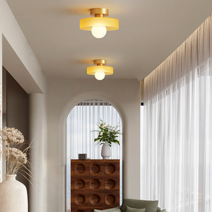 Modern Home Ceiling Light | Stylish Living Room Fixture