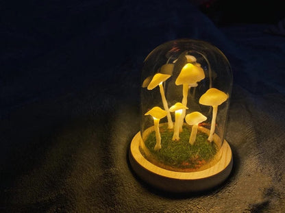 Mushrooms in Forests Table Light