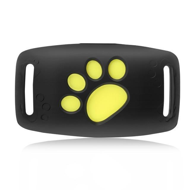 Cat GPS Tracker | Real-Time Tracking Without Subscription for Pet Safety