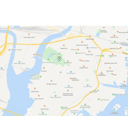 Cat GPS Tracker | Real-Time Tracking Without Subscription for Pet Safety