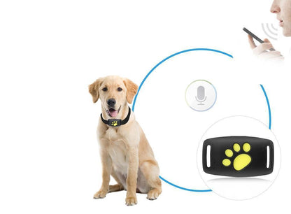 Cat GPS Tracker | Real-Time Tracking Without Subscription for Pet Safety