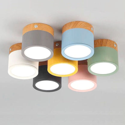 Modern Ceiling Light | Minimalist LED Downlight for Living Room