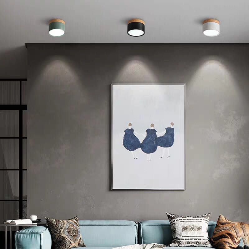 Modern Ceiling Light | Minimalist LED Downlight for Living Room