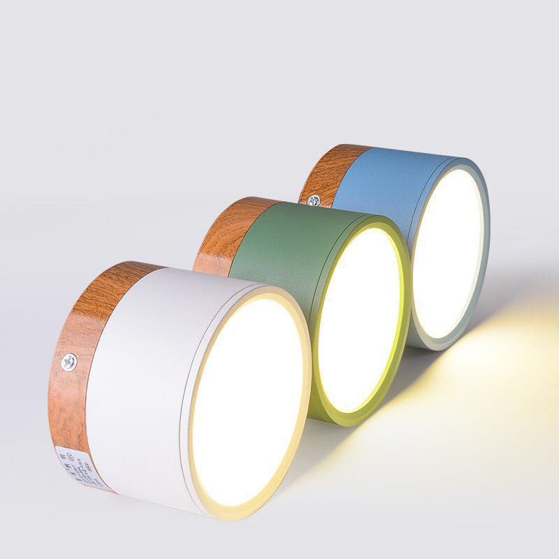 Modern Ceiling Light | Minimalist LED Downlight for Living Room
