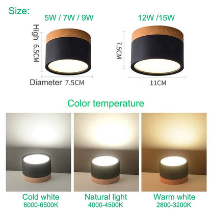 Modern Ceiling Light | Minimalist LED Downlight for Living Room