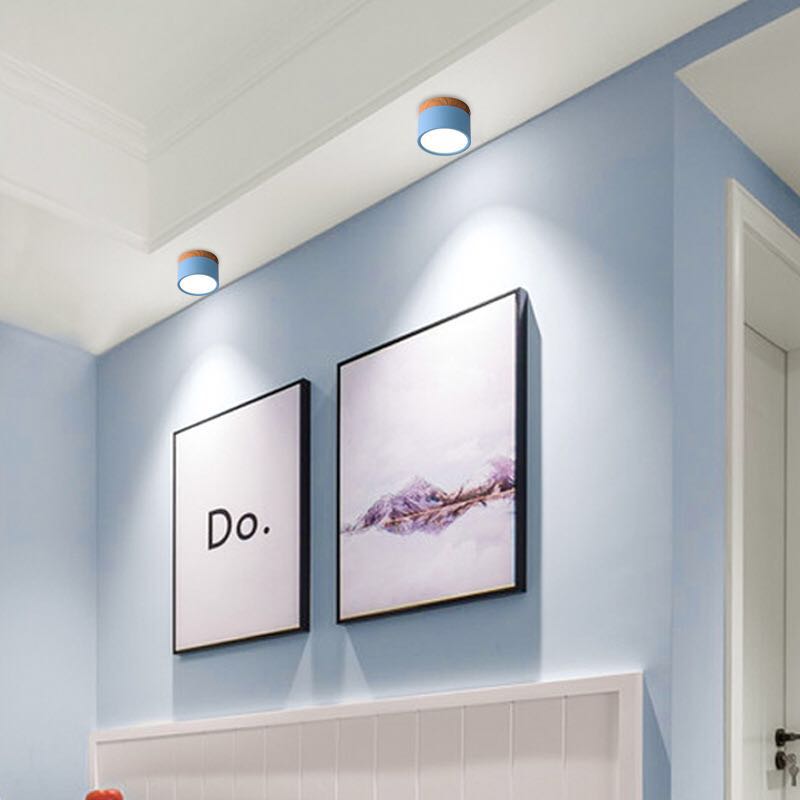 Modern Ceiling Light | Minimalist LED Downlight for Living Room