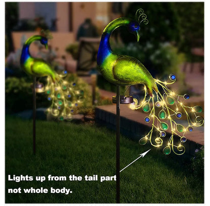 Peacock Solar Powered LED Lawn Light