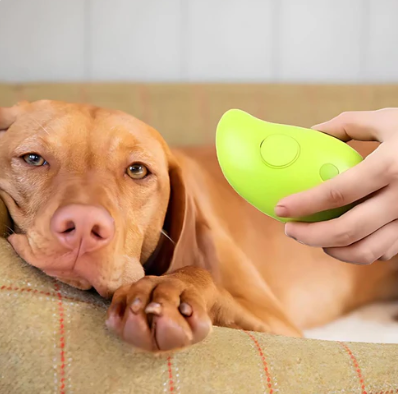 Interactive Dog Training Device | Safe
