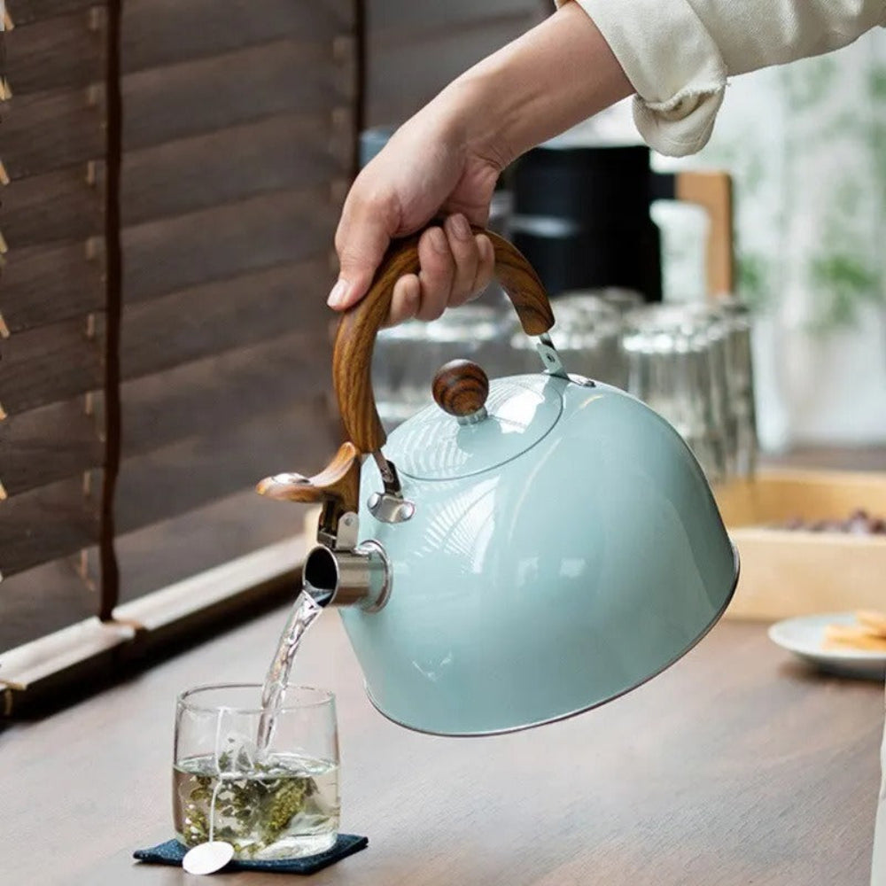 Stainless Steel Whistling Kettle | Elegant Tea Water Boiler