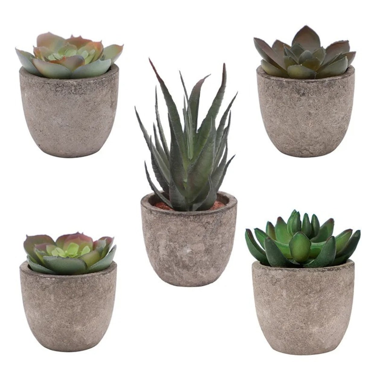 Artificial Plant | Elegant Artificial Succulents for a Refreshing Display - Luxyecs