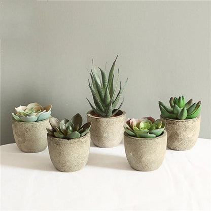 Artificial Plant | Elegant Artificial Succulents for a Refreshing Display - Luxyecs