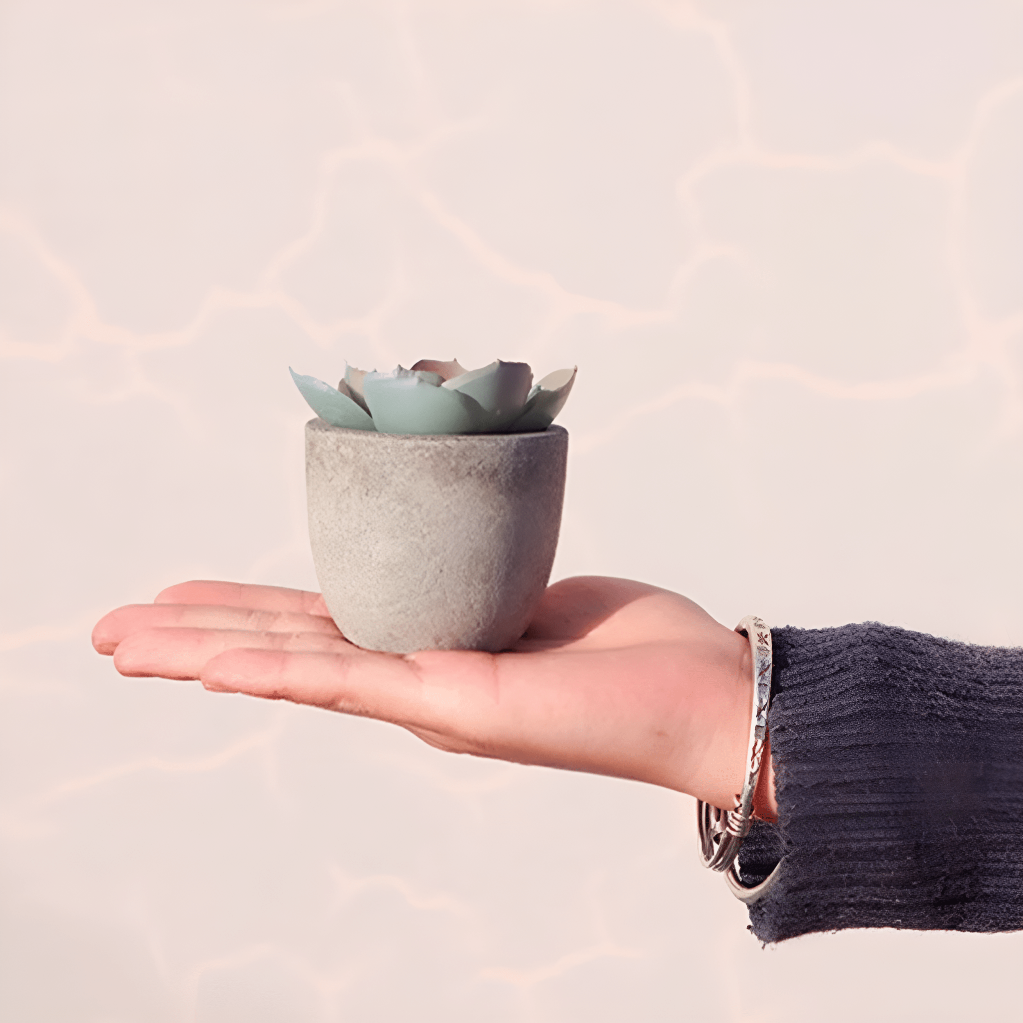 Artificial Plant | Elegant Artificial Succulents for a Refreshing Display - Luxyecs