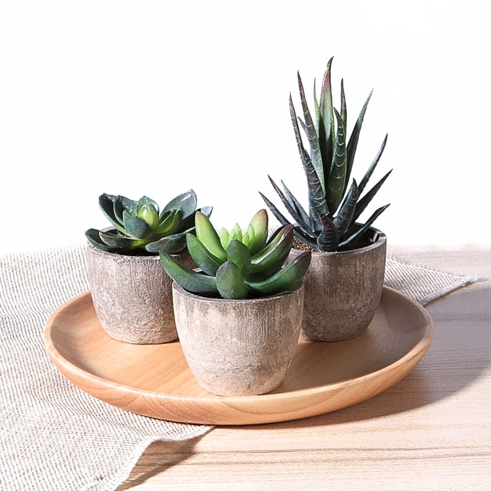 Artificial Plant | Elegant Artificial Succulents for a Refreshing Display - Luxyecs