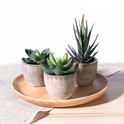 Artificial Plant | Elegant Artificial Succulents for a Refreshing Display - Luxyecs