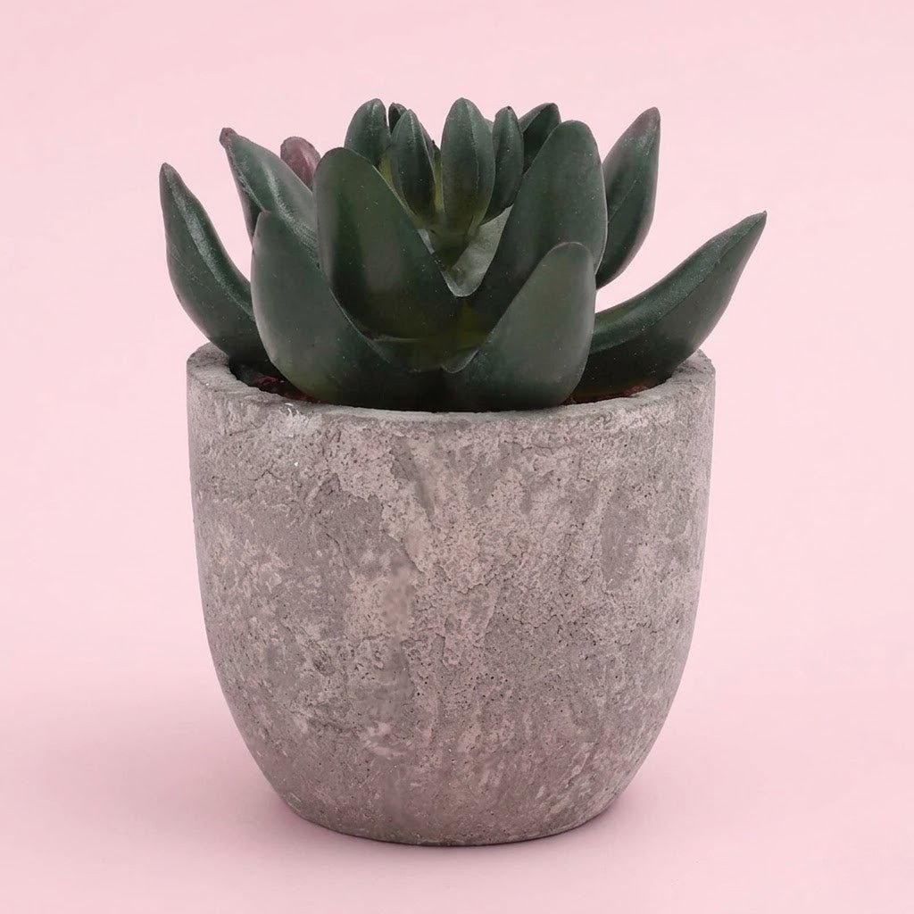 Artificial Plant | Elegant Artificial Succulents for a Refreshing Display - Luxyecs