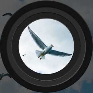 Bird Watching Binoculars | Outdoor Viewing Tool - Luxyecs